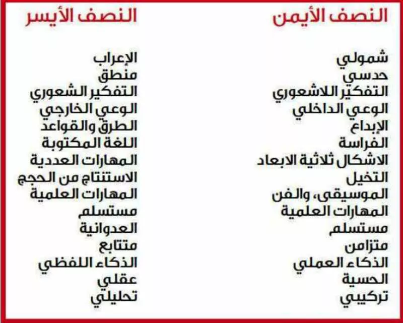 الإنسان.. نصفيه الأيمن والأيسر.. الإنسان.. نصفيه الأيمن والأيسر..